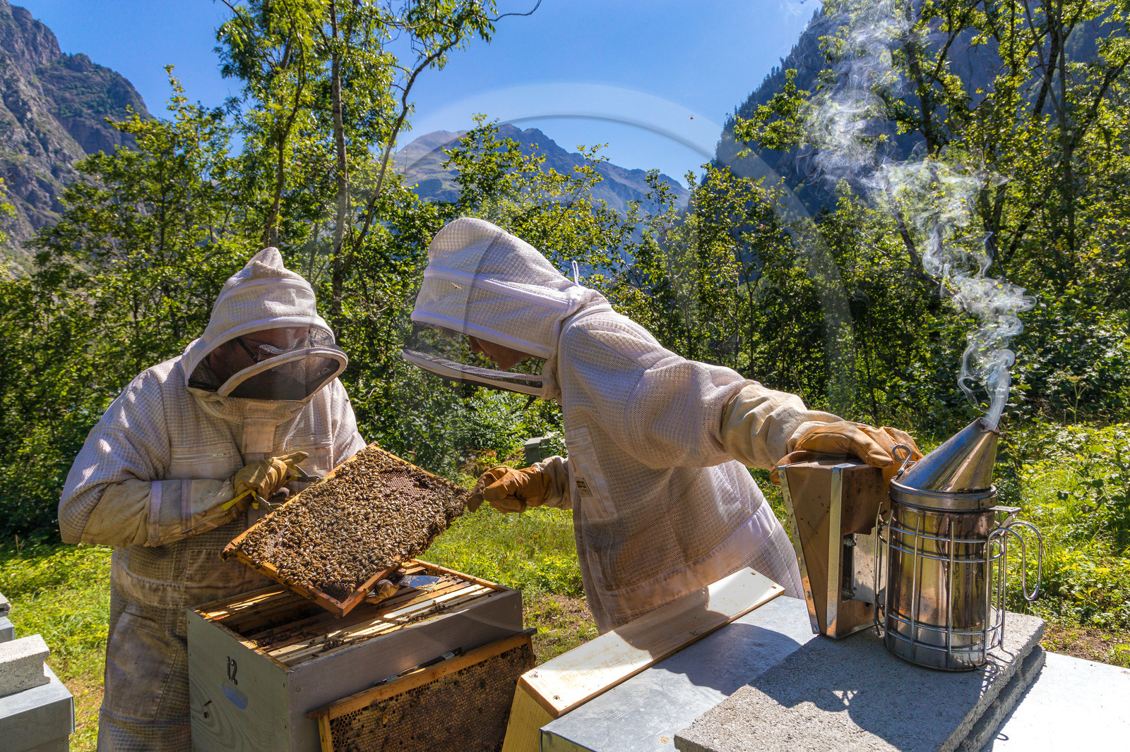Margaux et Didier Pissard, apiculteurs