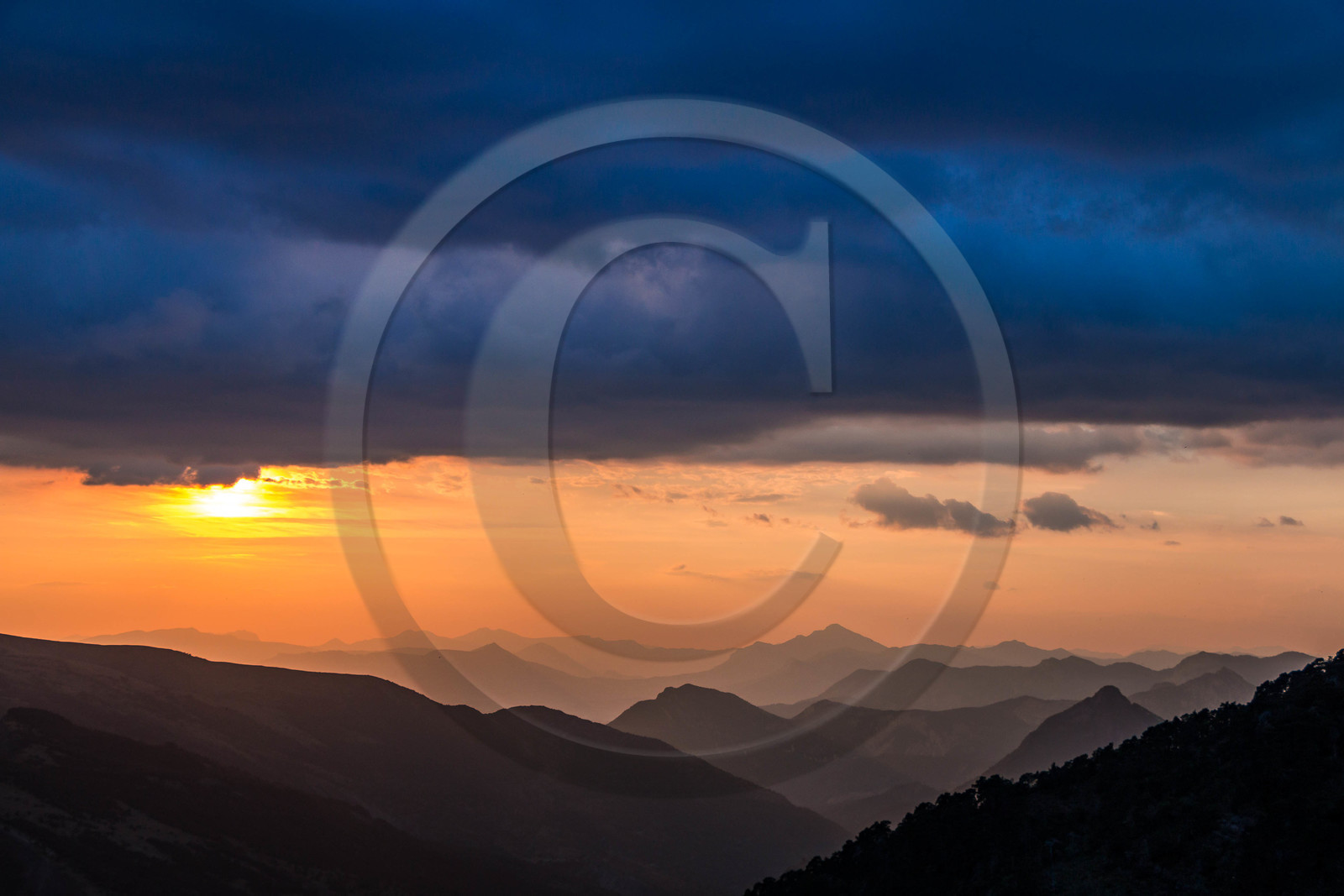 Les Monges, vallon de Reynier