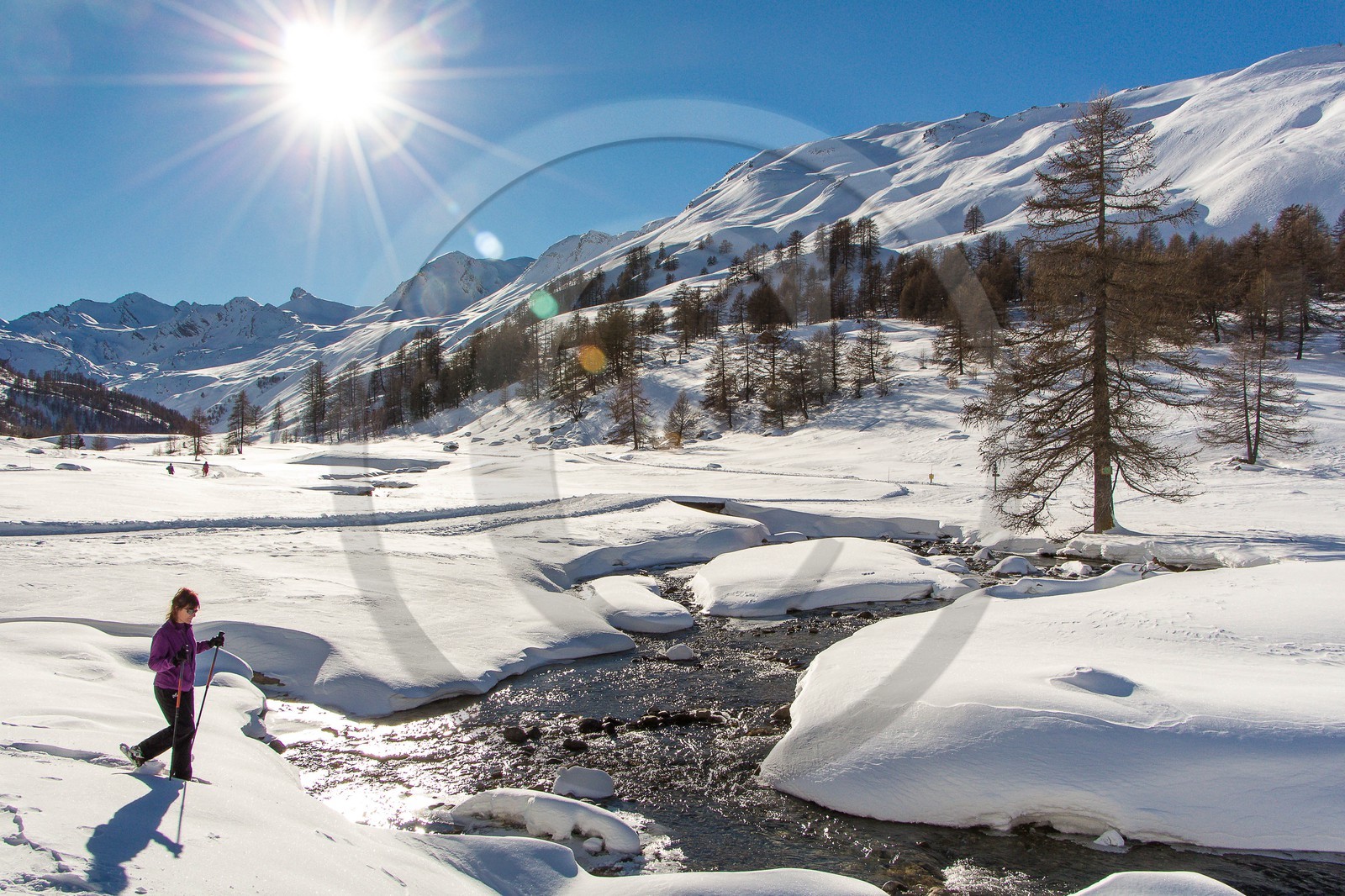 Col de Larche, vallon du lauzanier, randonnée raquettes