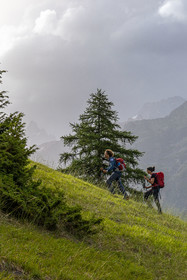 Terres de trek