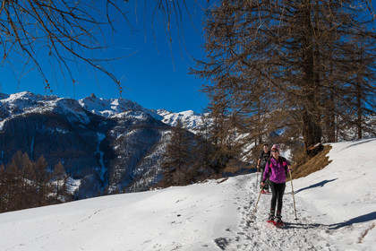 Randonnée en raquettes à neige
