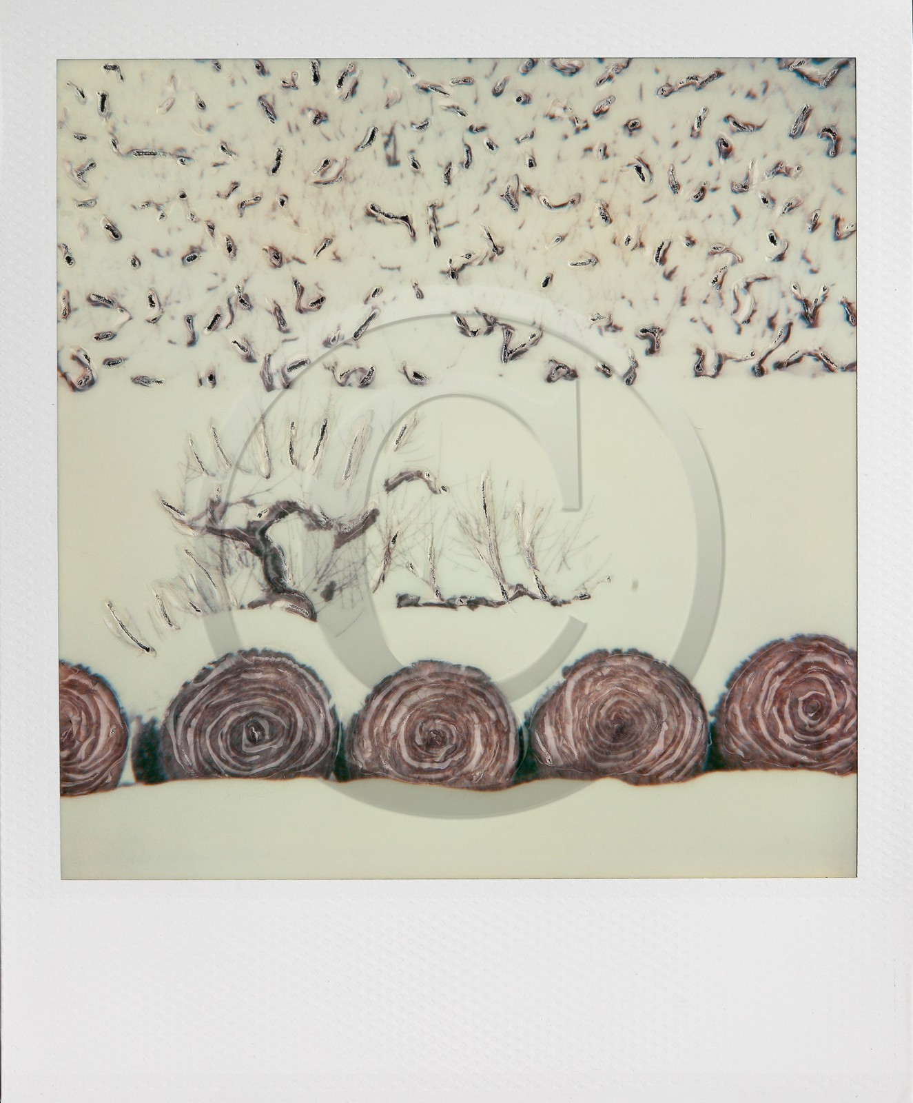 Exposition Arbres et petites forêts, éloge de la biodiversité