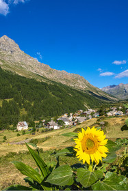 Le Lauzet
