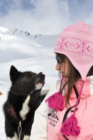 Chiens d'attelage