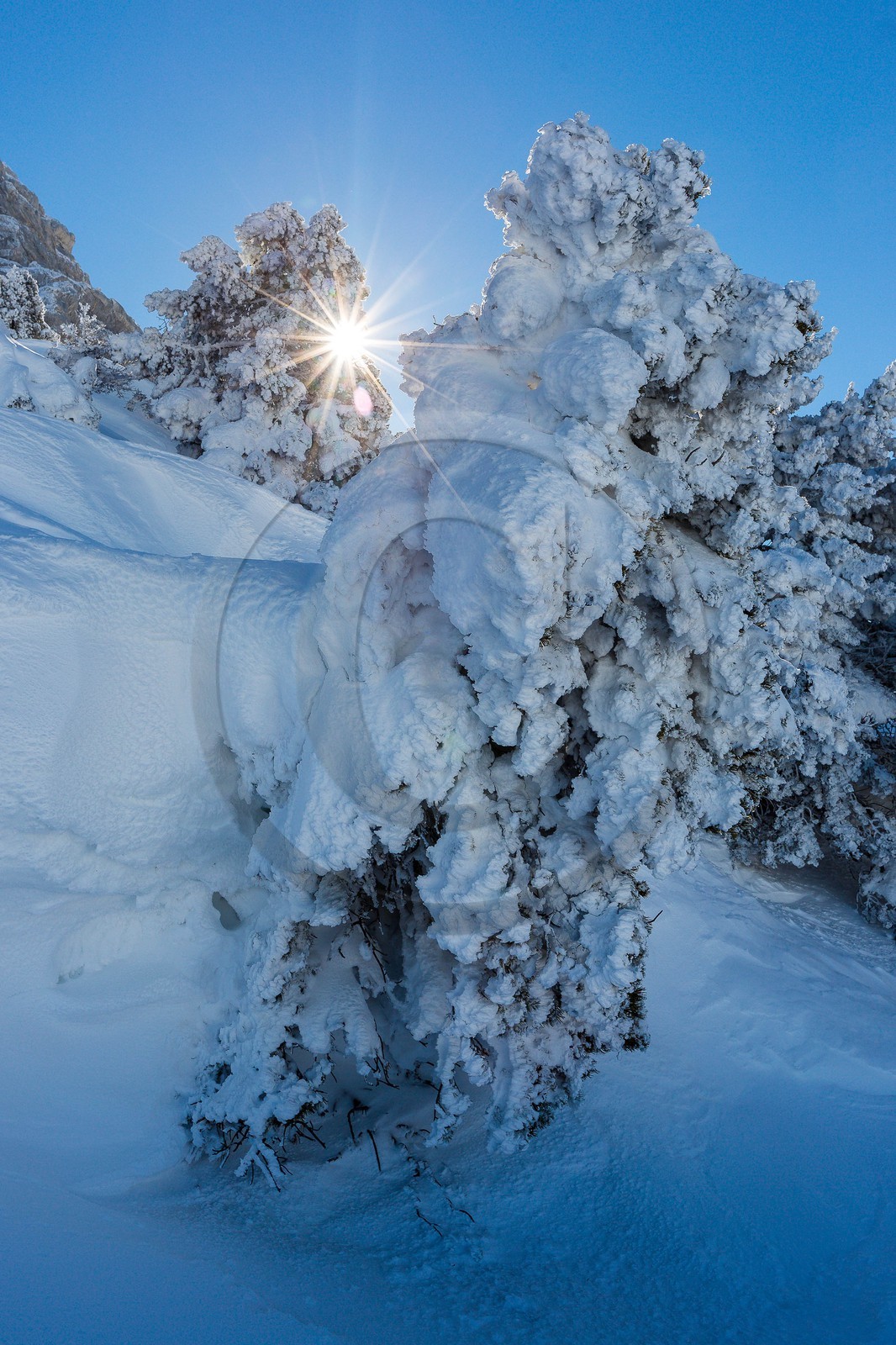 Espace naturel sensible de l'Isère, Col du Coq