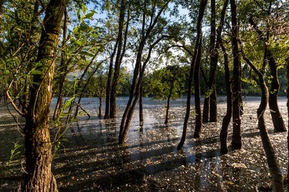 ENS de l'Isère, bois de la Bâtie