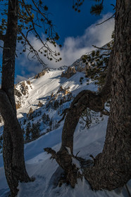 Col de l'Izoard