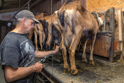Gaec La Ferme des Ecrins