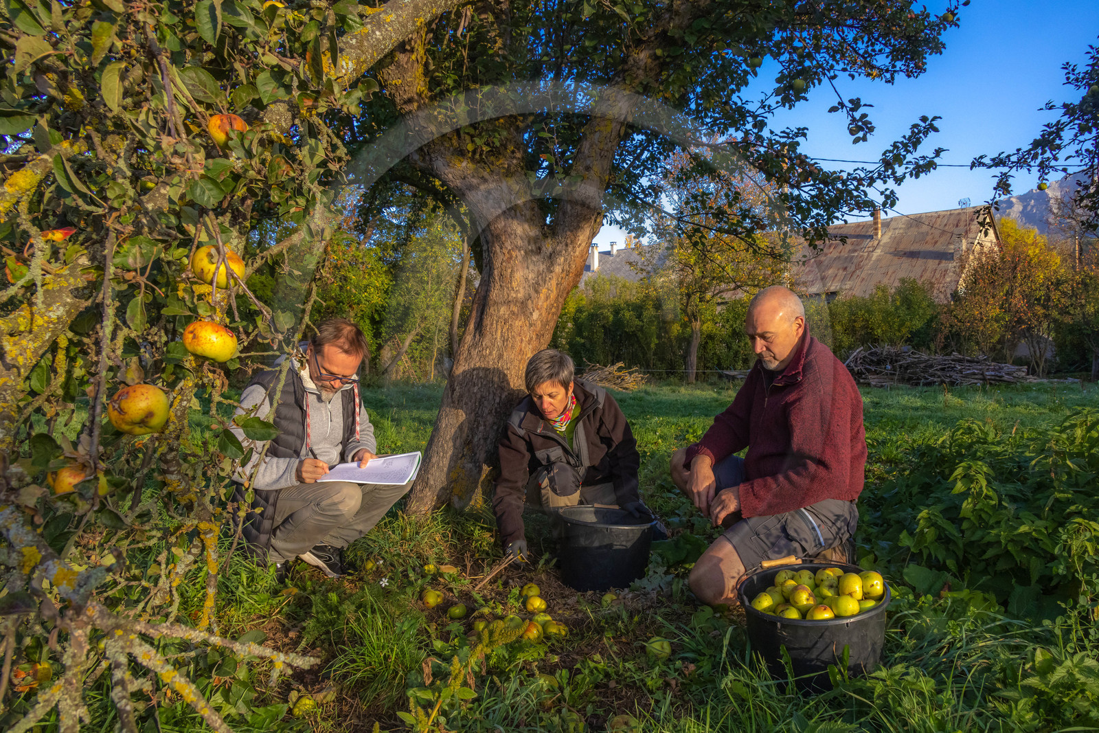 Etablissement Gayral, producteur de jus