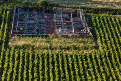 Domaine viticole Michel-Andreotti