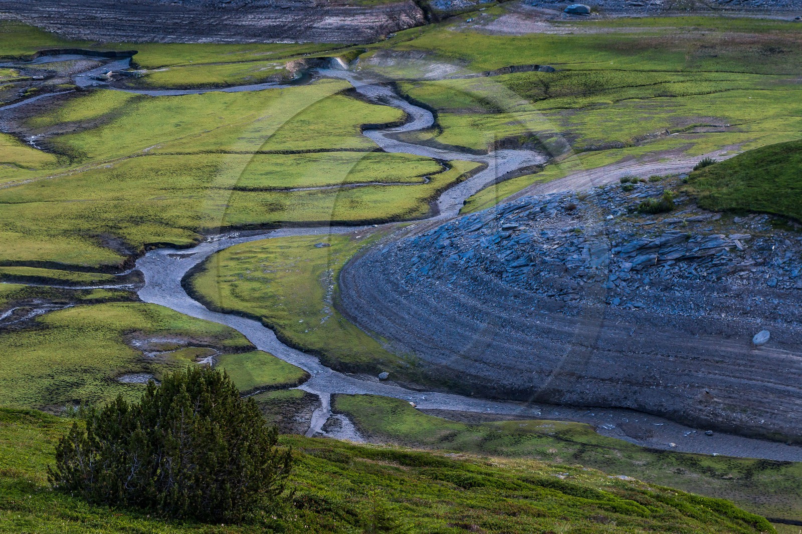 alpages du lac du Mont-Cenis