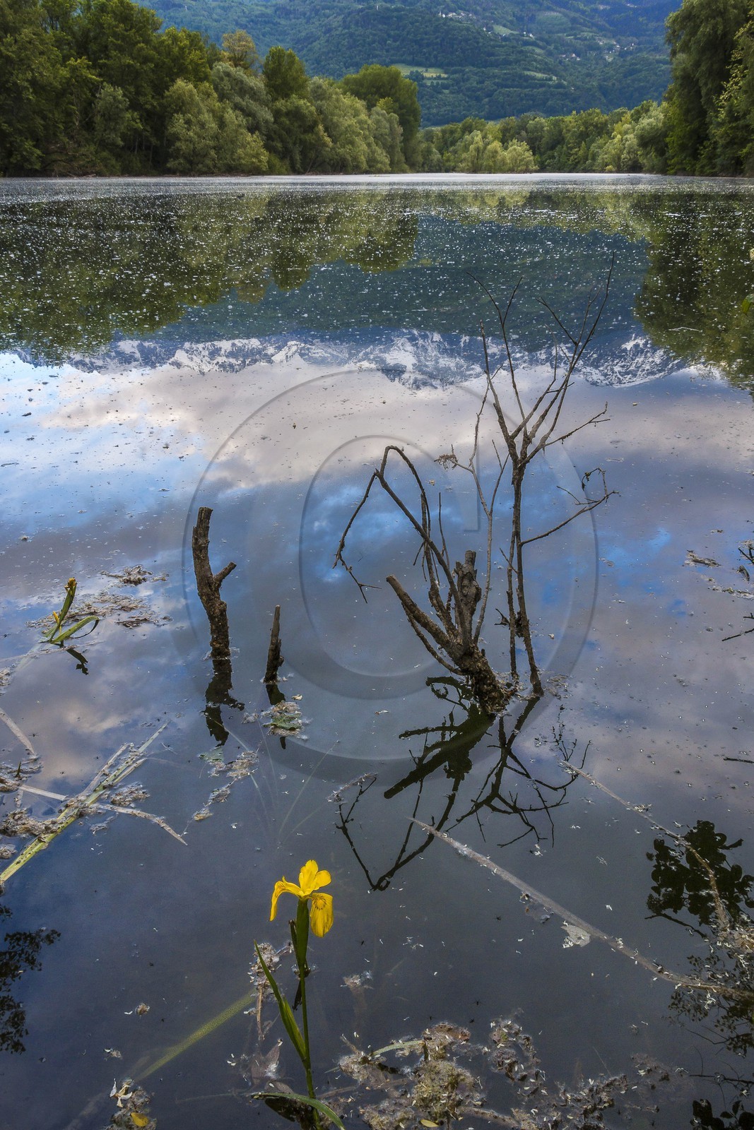 ENS de l'Isère, bois de la Bâtie