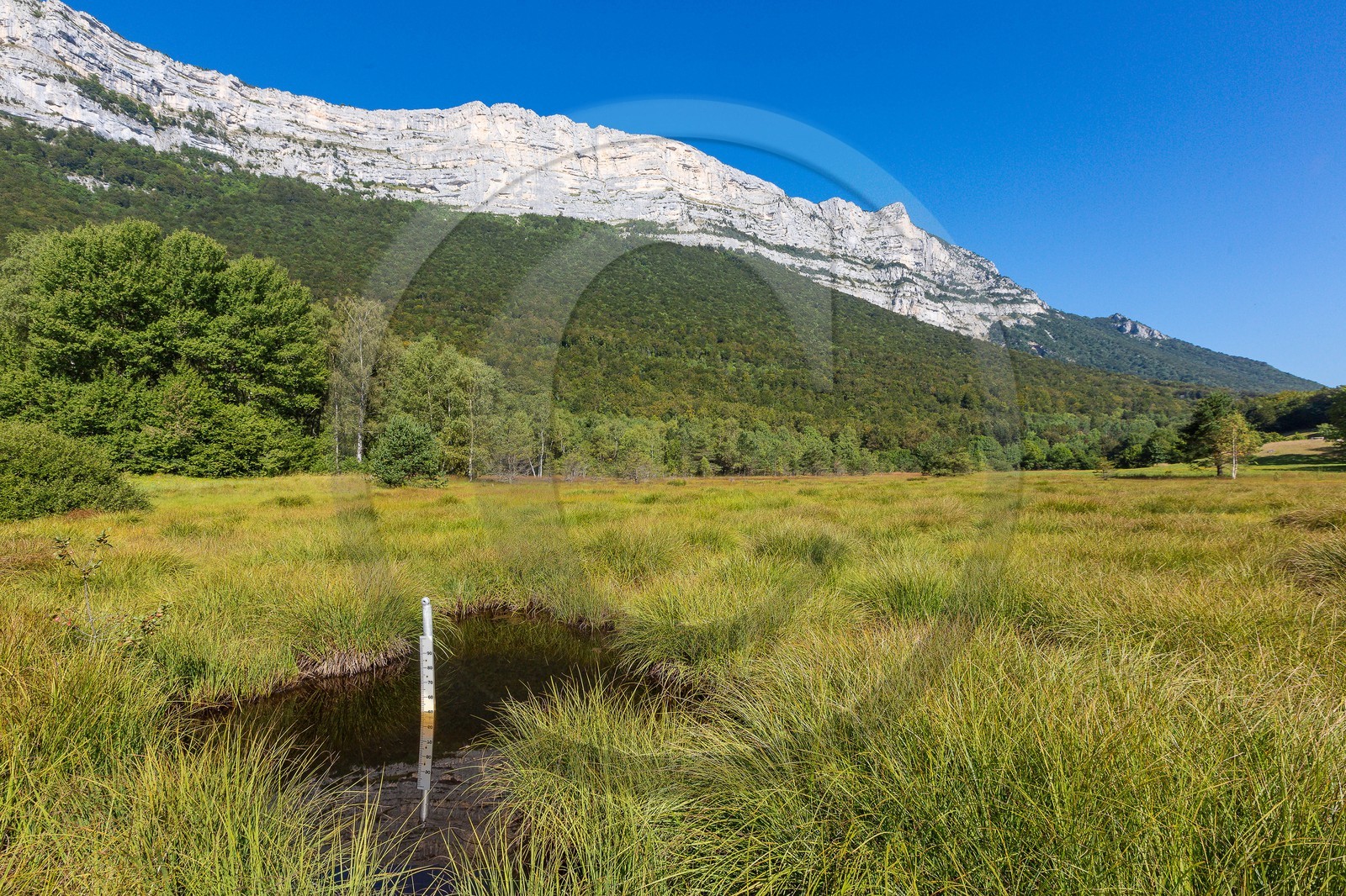 ENS de l'Isère,Tourbières du Peuil