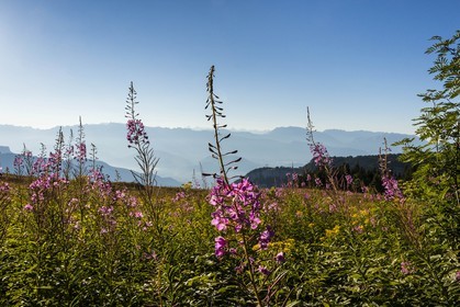 ENS de l'Isère, Plateau de la Molière et du Sornin, du plateau de Sornin
