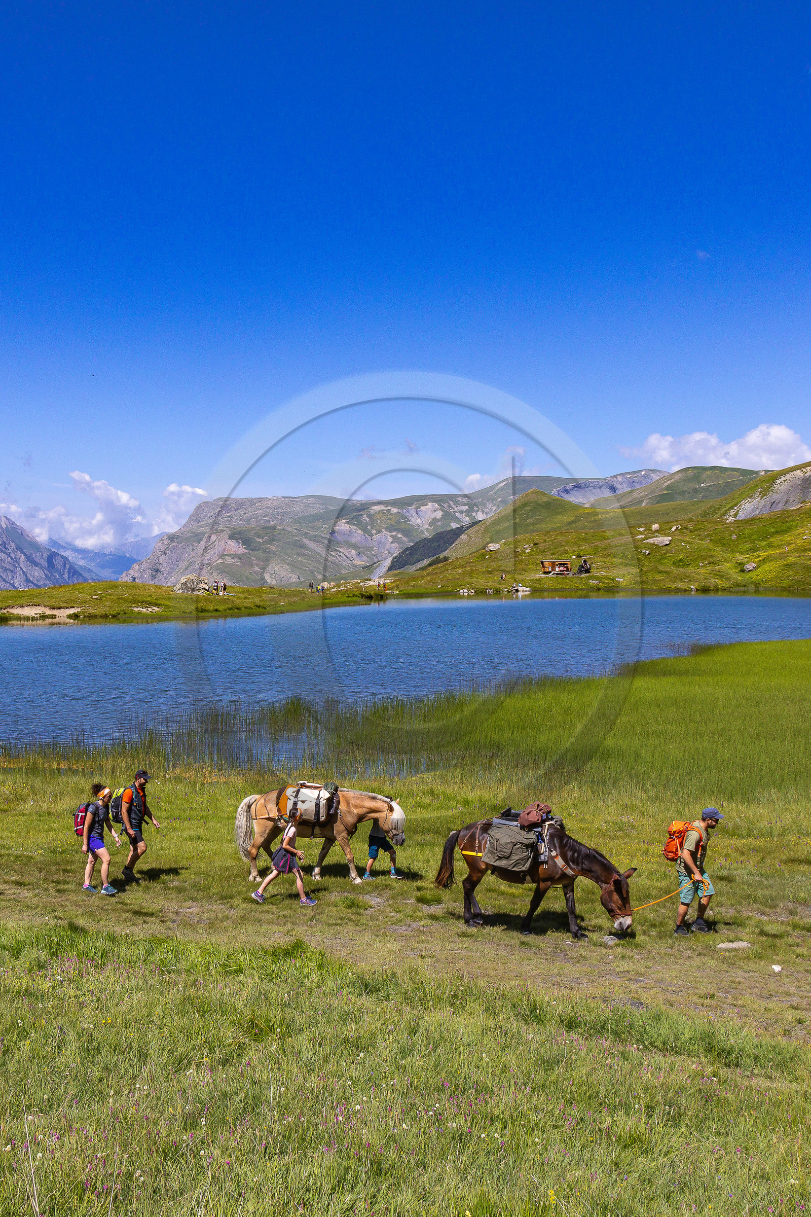 Trek famille avec animaux de bats