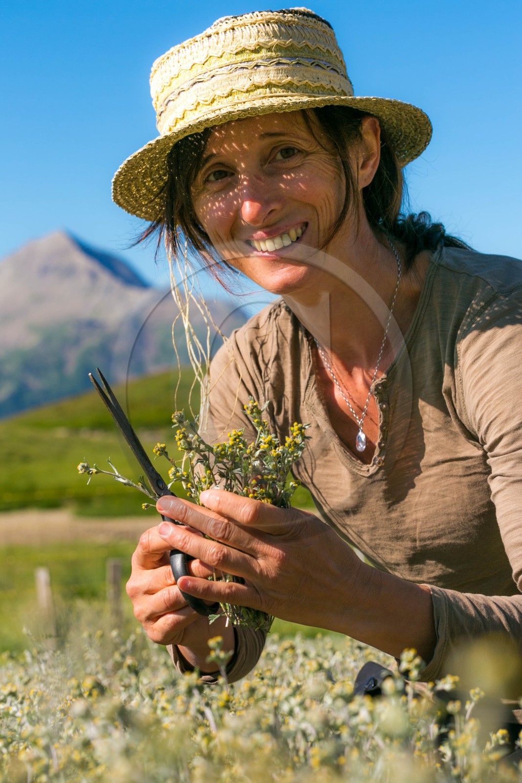Orcières 1850, Bruno Gonnon agriculteur bio de génépi