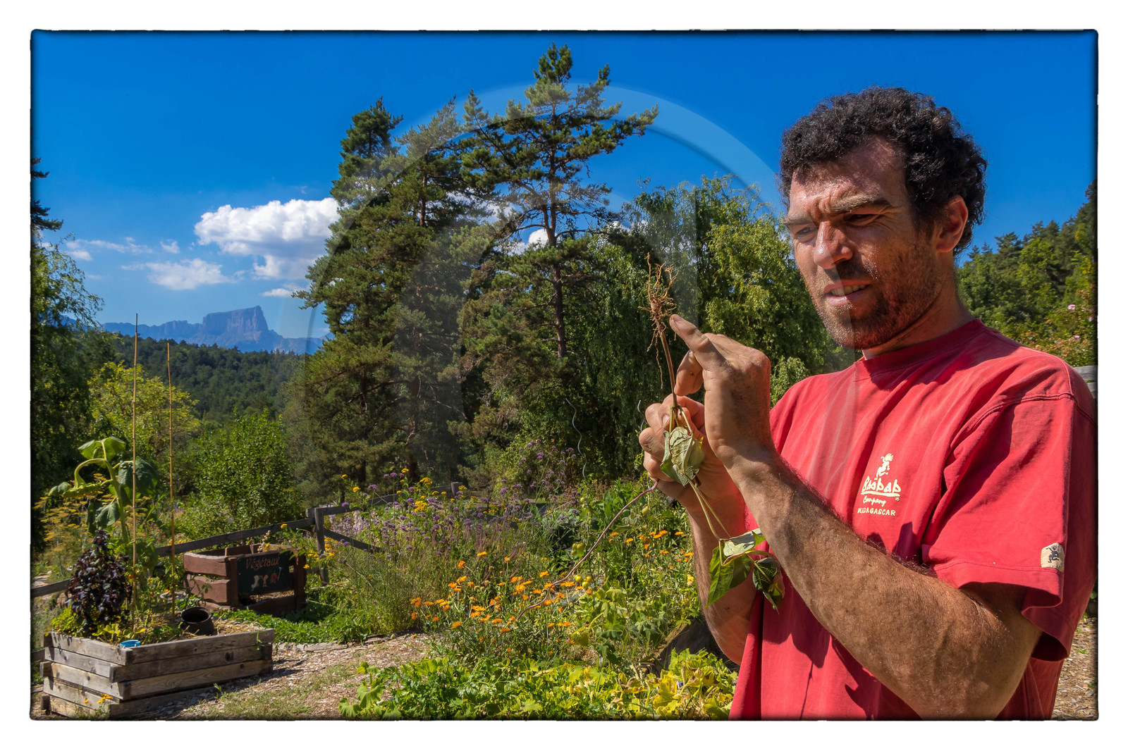 Pascal Aspe, Parc écologique Terre Vivante