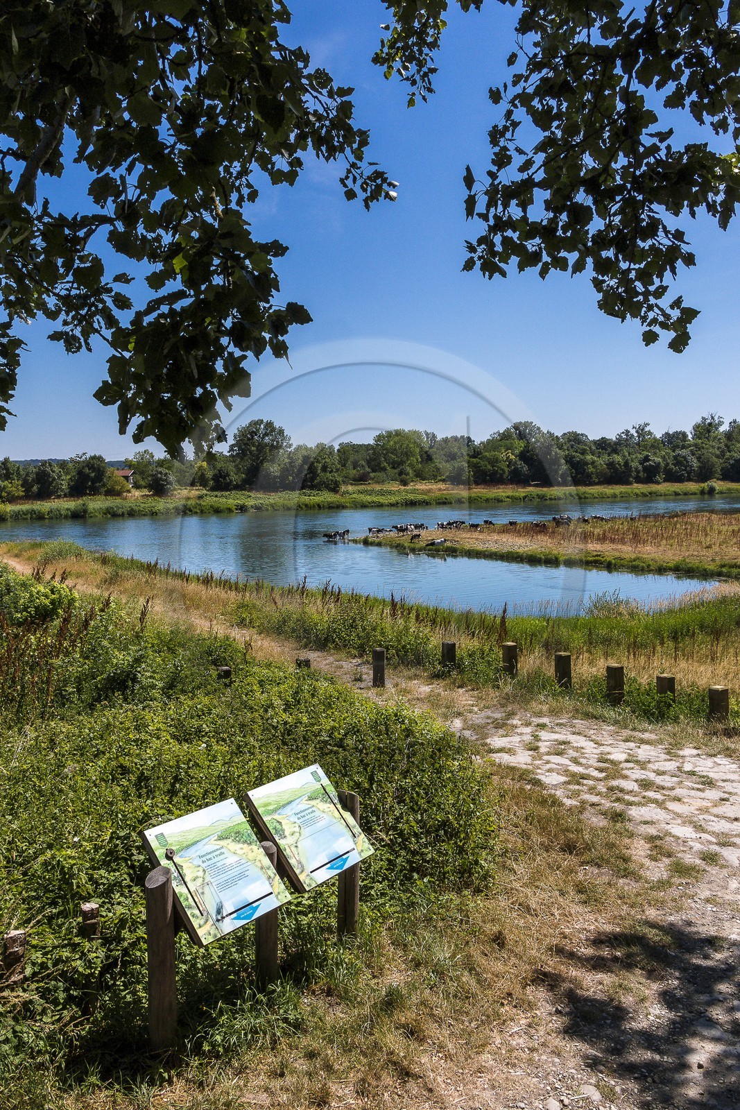 ENS de l'Isère, , le méandre des Oves
