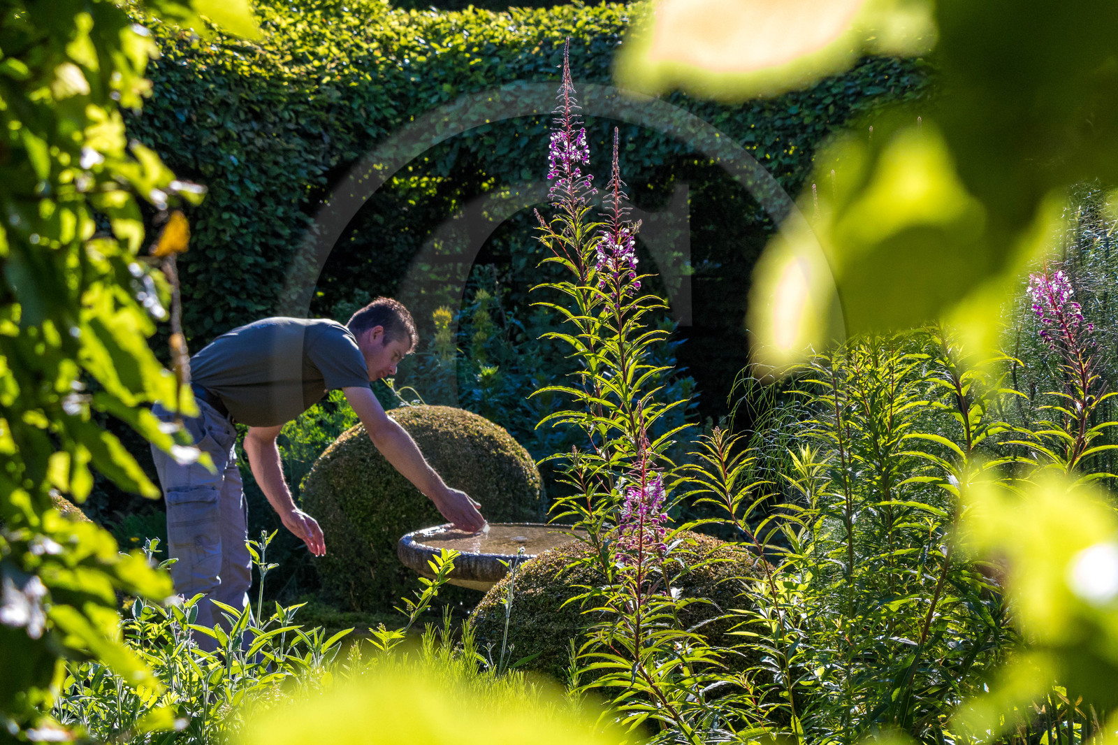 Matthieu Constans, chef jardinier du Jardin des Cinq Sens