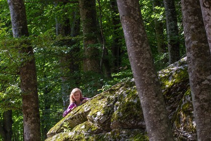 Alpes de Haute-Provence, hêtraie de Pontis