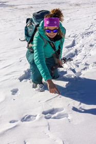 Randozen Serre Chevalier