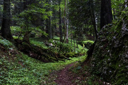 ENS de l'Isère, Les Ecouges