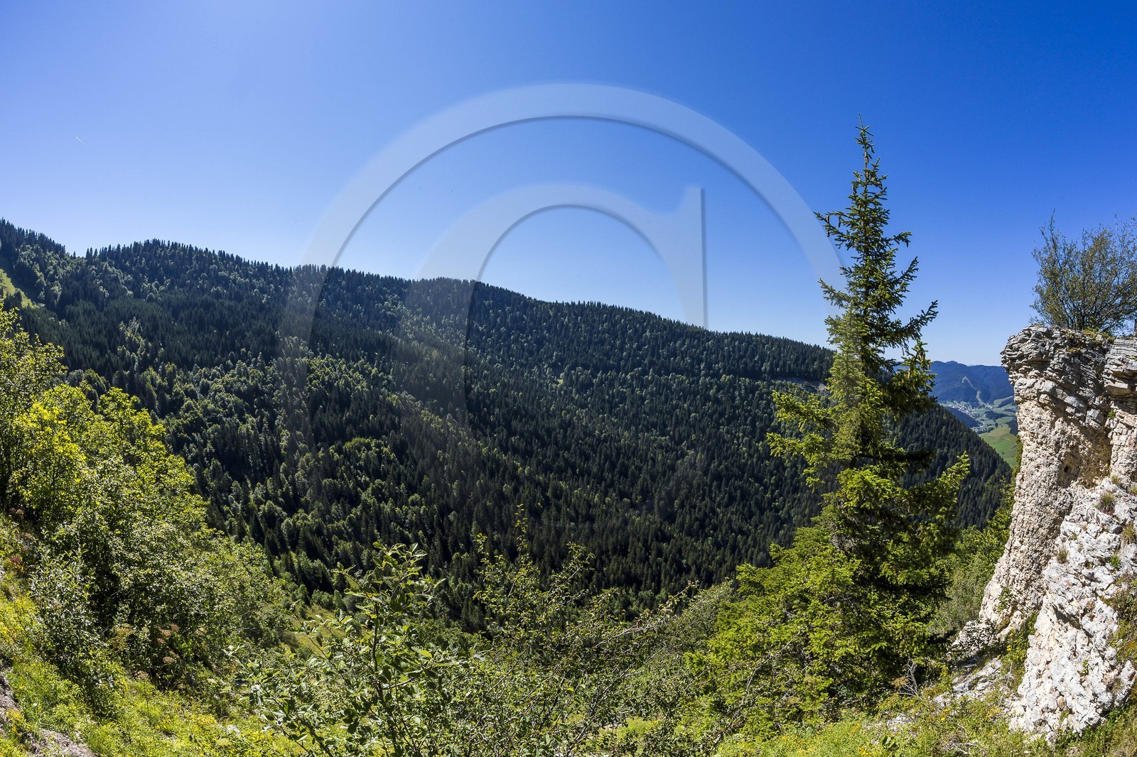 ENS de l'Isère, Plateau de la Molière et du Sornin