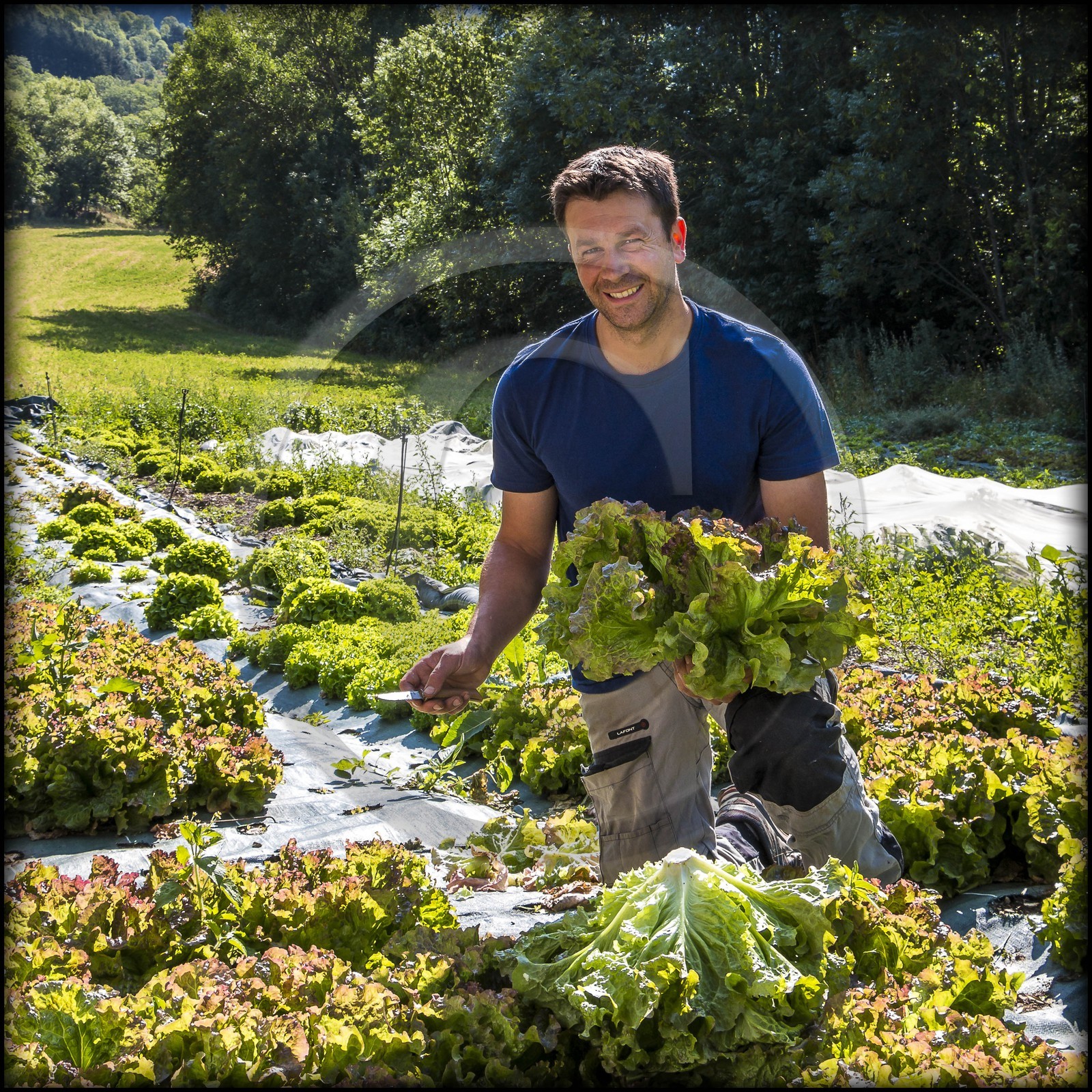Vallée du Champsaur, Joubert Eric, maraîcher