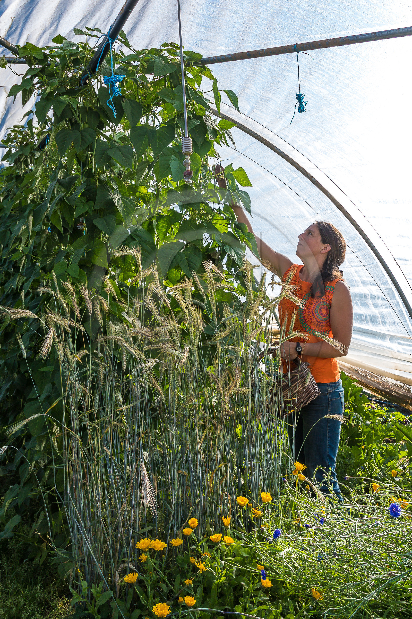 LéguMontagne, Sylvie Jaussaud et  Bertille Gieu, Maraîchères bio