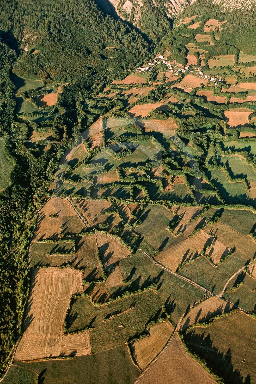 Vallée du Champsaur, le bocage