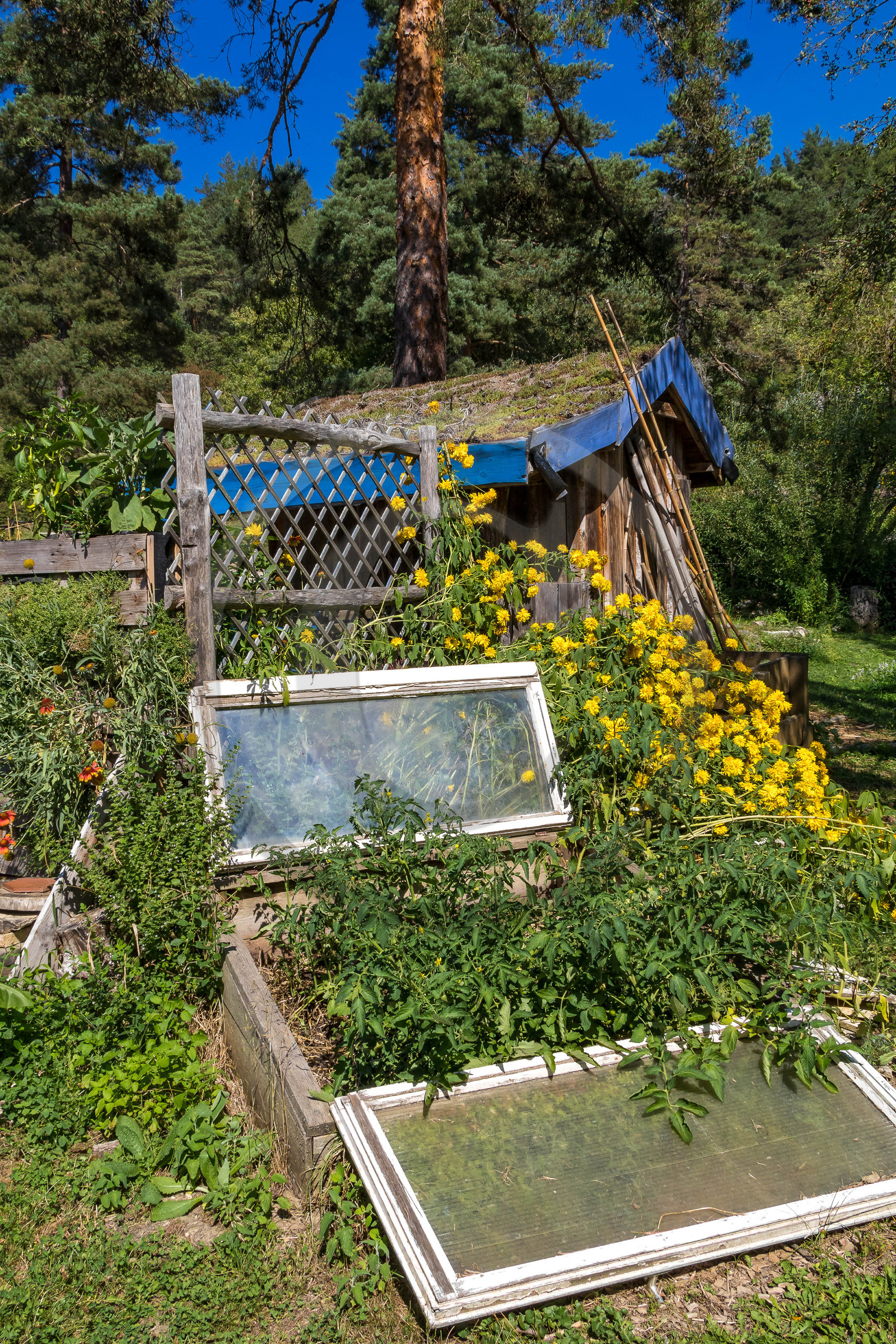 Parc écologique Terre Vivante