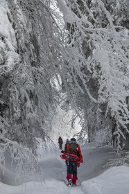 ENS de l'Isère, Les Ecouges