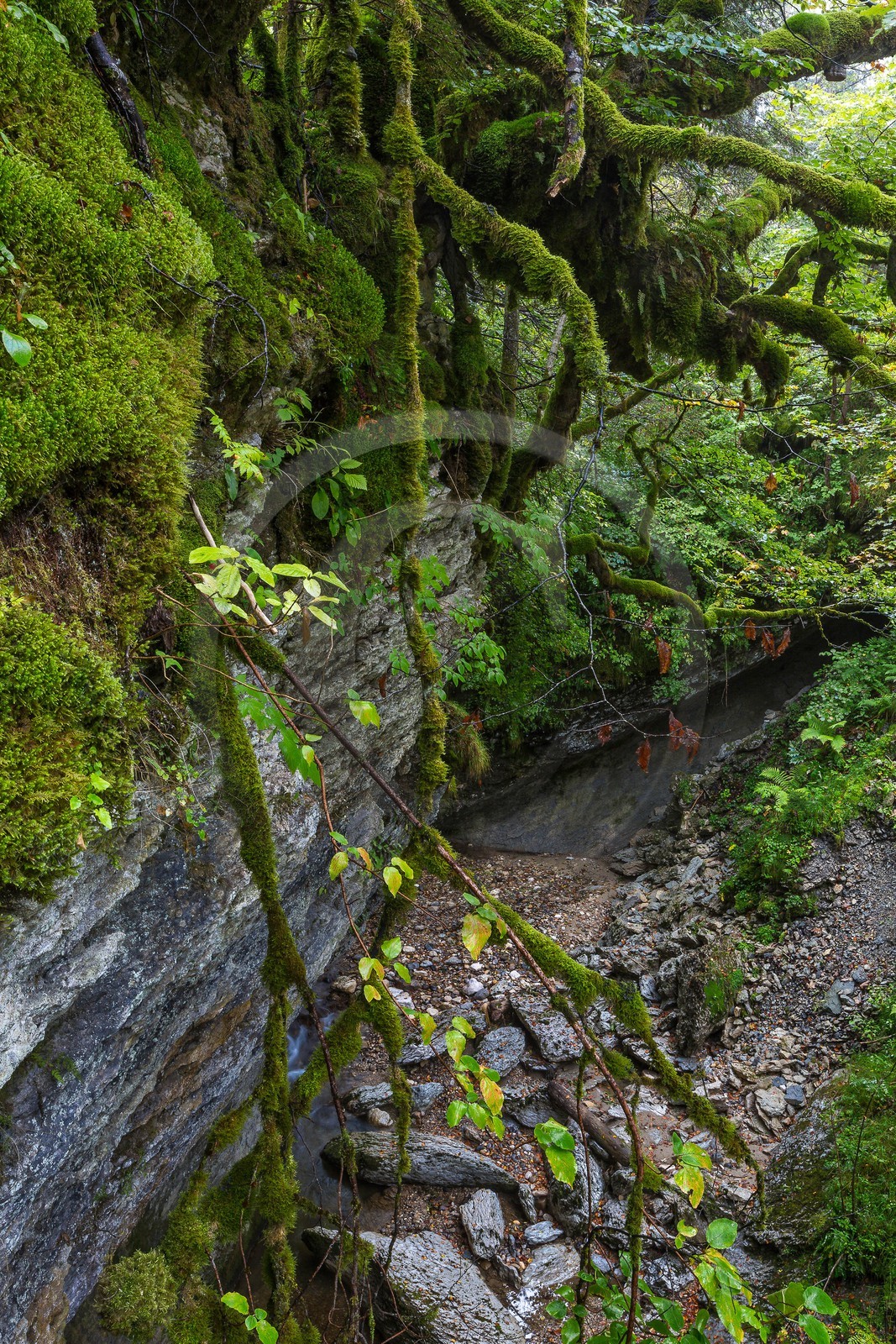 ENS de l'Isère, Les Ecouges