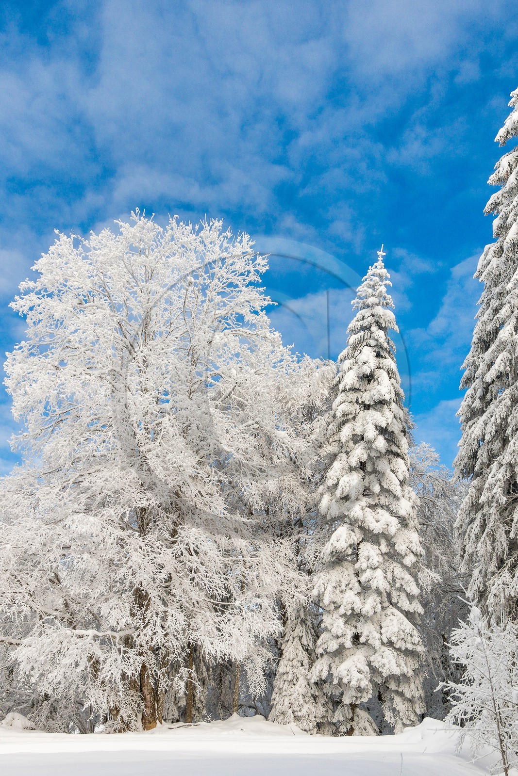ENS de l'Isère, Les Ecouges