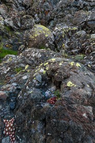 Montgenèvre, Le Chenaillet, ophiolites