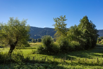 ENS de l'Isère, Marais des Sagnes
