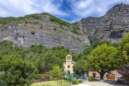 Faucon-du-Caire