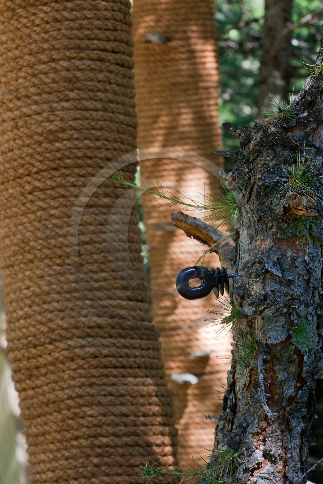 Sentiers Art et Nature Queyras et Val Varaita, Jean-François Marc