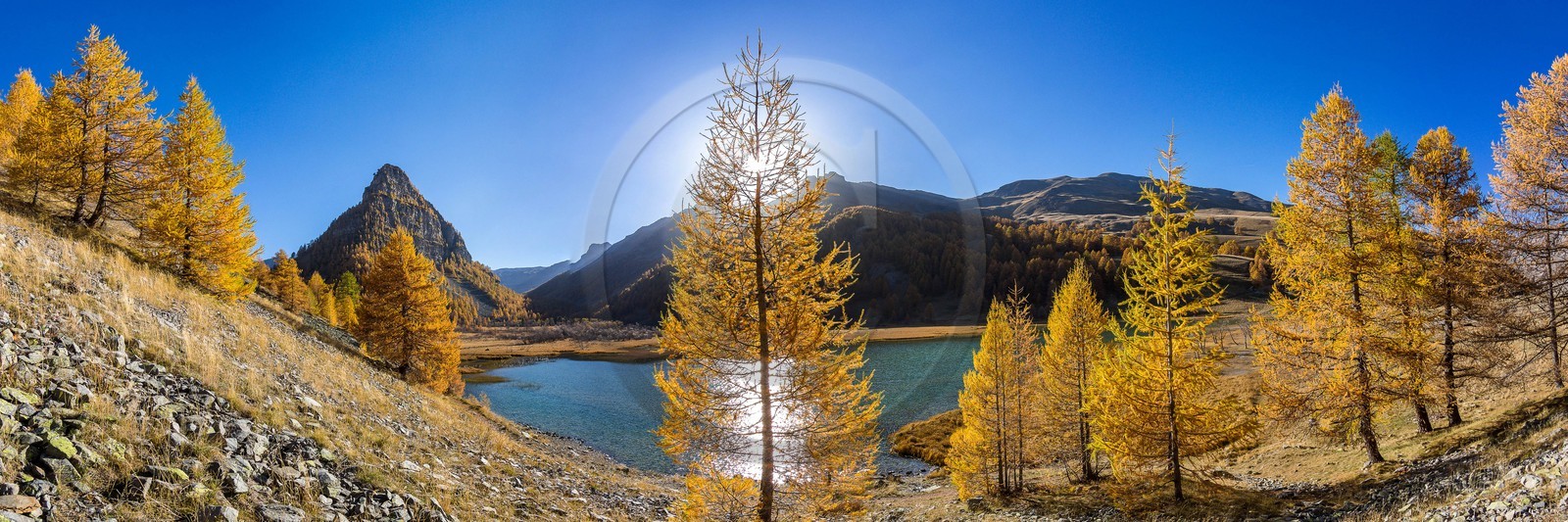 Jausiers, Lac des Sagnes et forêt de mélèzes à l'automne