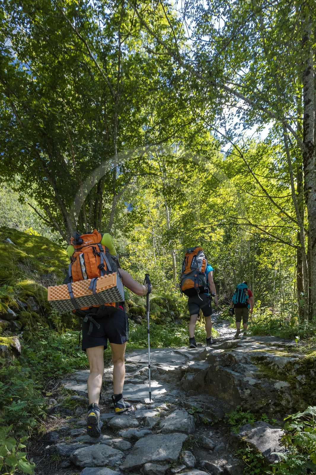 Randonnée pédestre sur le GR54