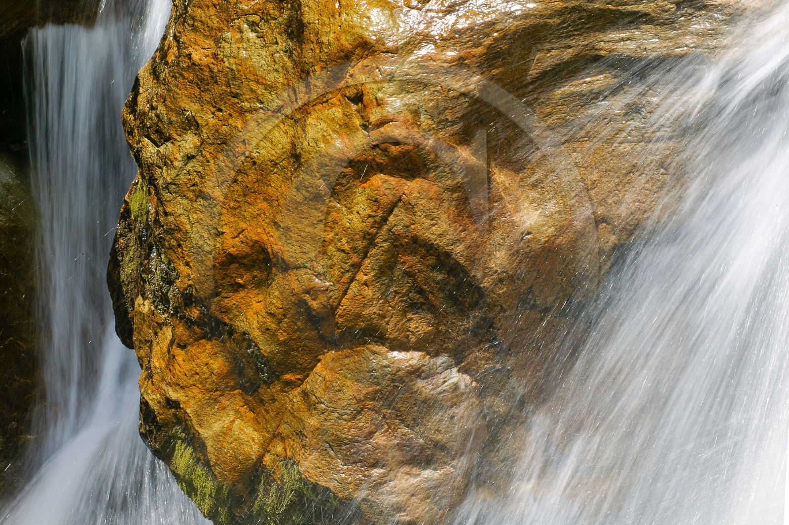 Réserve naturelle du Vallon de Bérard, cascade, torrent de Bérard