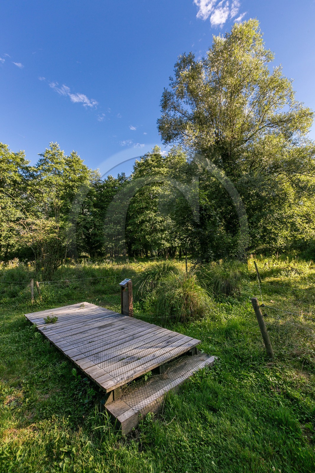 ENS de l'Isère, Tourbières de l'Herretang