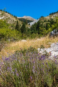 GR6 Tour des Monges