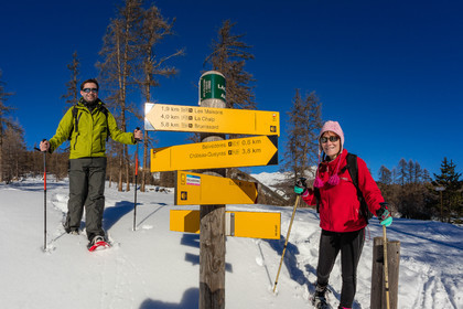 Randonnée en raquettes à neige