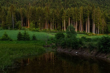 ENS de l'Isère, Marais des Seiglières