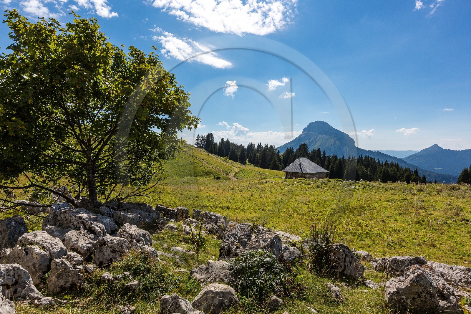 Espace naturel sensible de l'Isère, Col du Coq