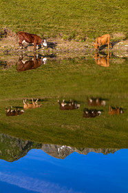 Lac de l'Arpettaz