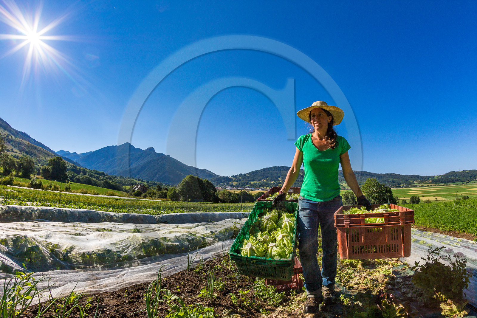 LéguMontagne Sylvie Jaussaud , Maraîchères bio