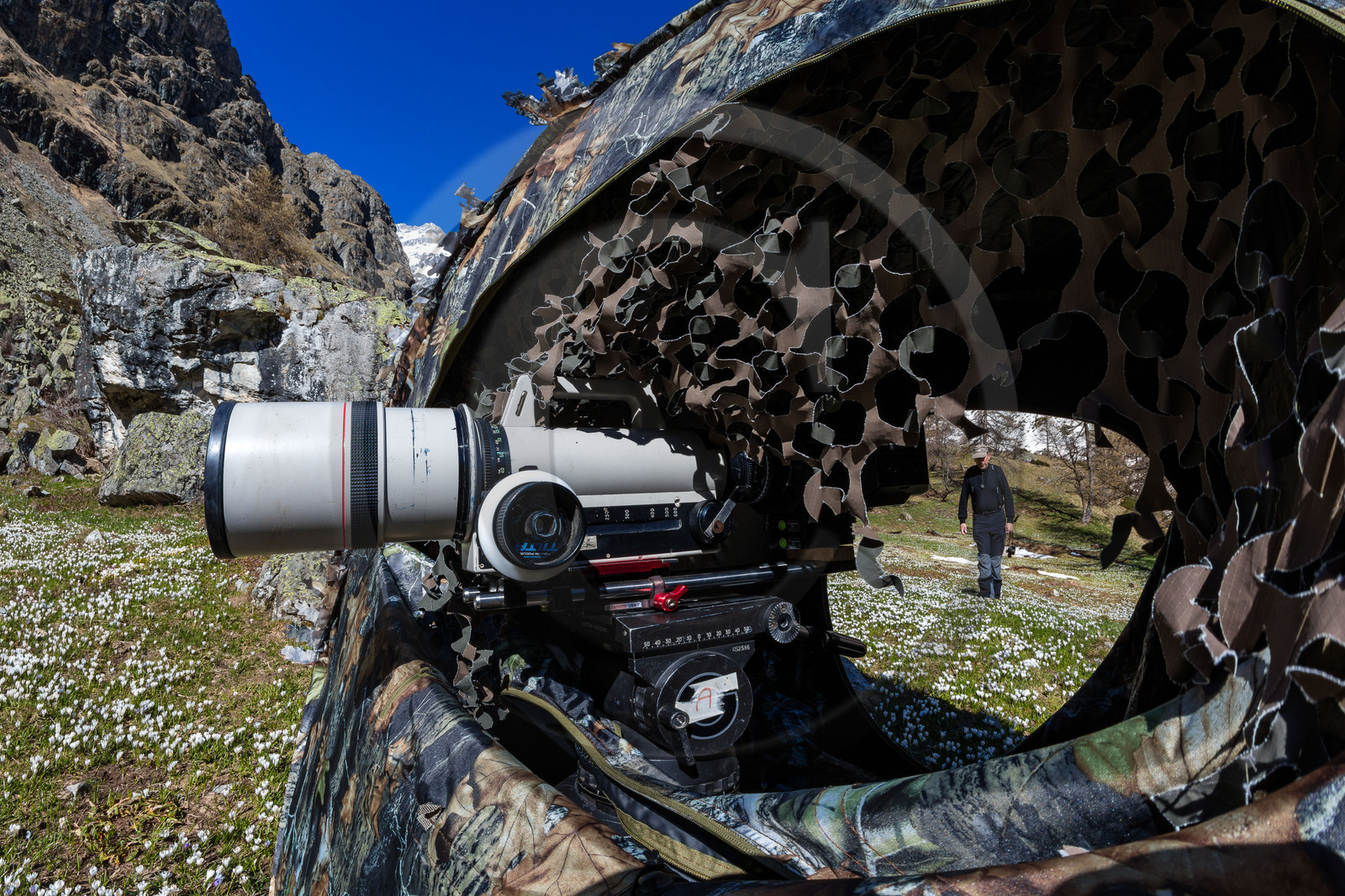 Film : La vallée des loups