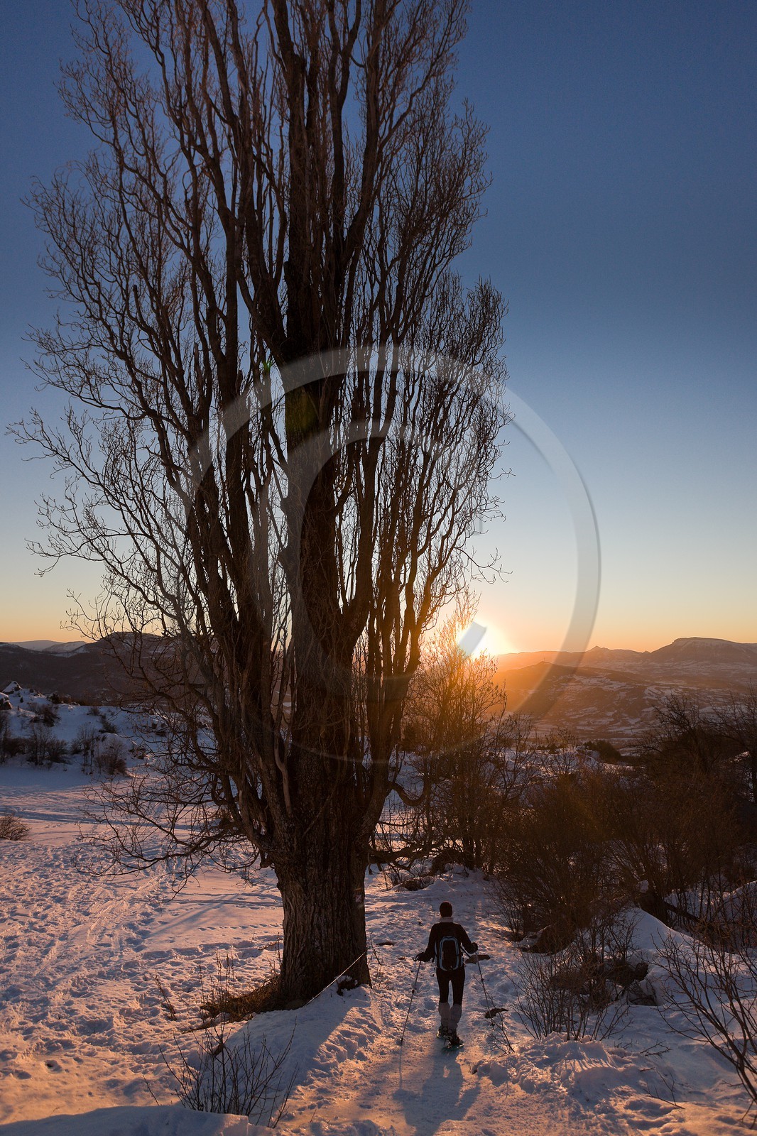 Randonnée raquettes